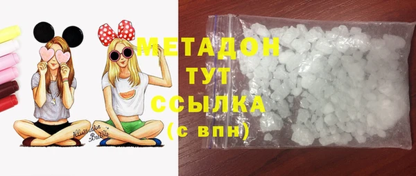 индика Богданович