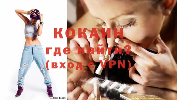 индика Богданович