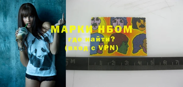 индика Богданович