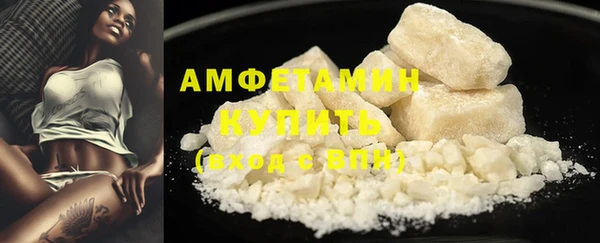 индика Богданович