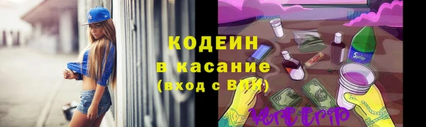 индика Богданович