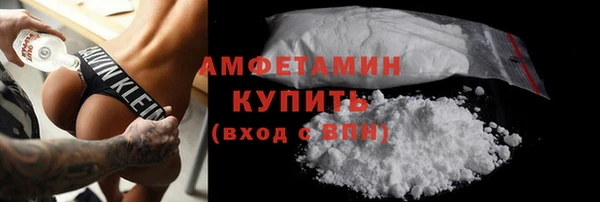 индика Богданович