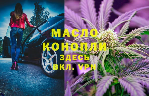 индика Богданович