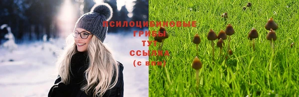 таблы Богородск