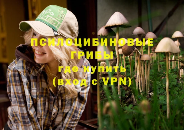 круглые Бородино