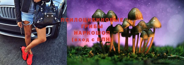 круглые Бородино