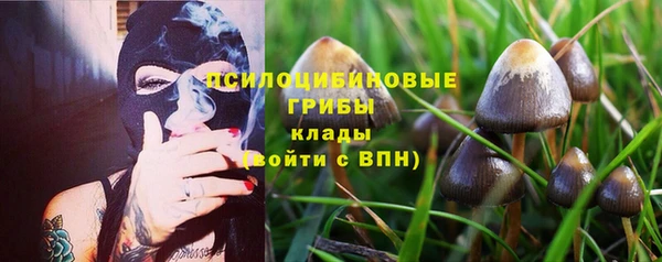 таблы Богородск