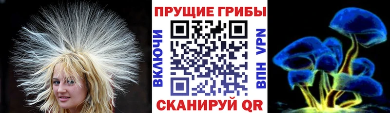 Галлюциногенные грибы GOLDEN TEACHER  Купить где  Волоколамск 